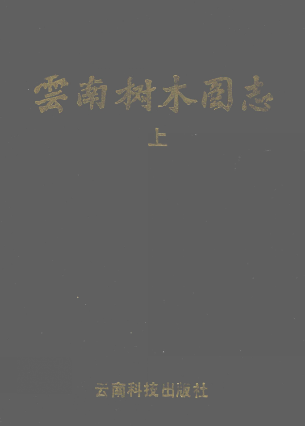 云南树木图志.pdf下载